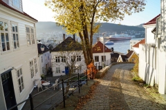 Nordnes-autumn-bergen-norway